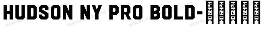 Hudson NY Pro Bold字体转换
